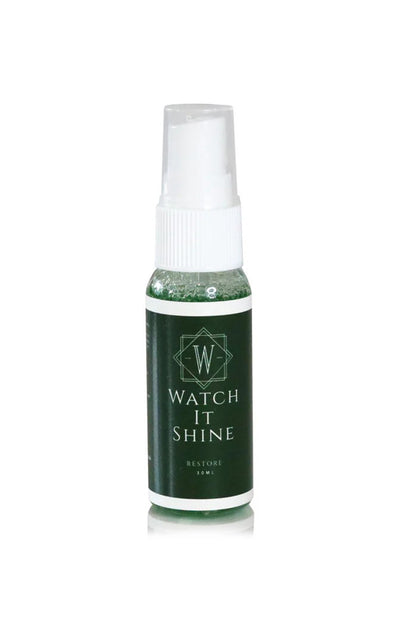 Complete Watch Cleaning Kit