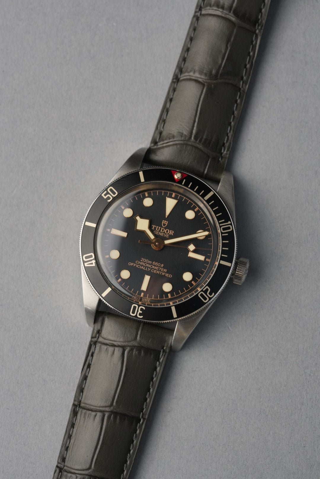 Embossed Alligator Leather Watch Strap - 18mm to 24mm