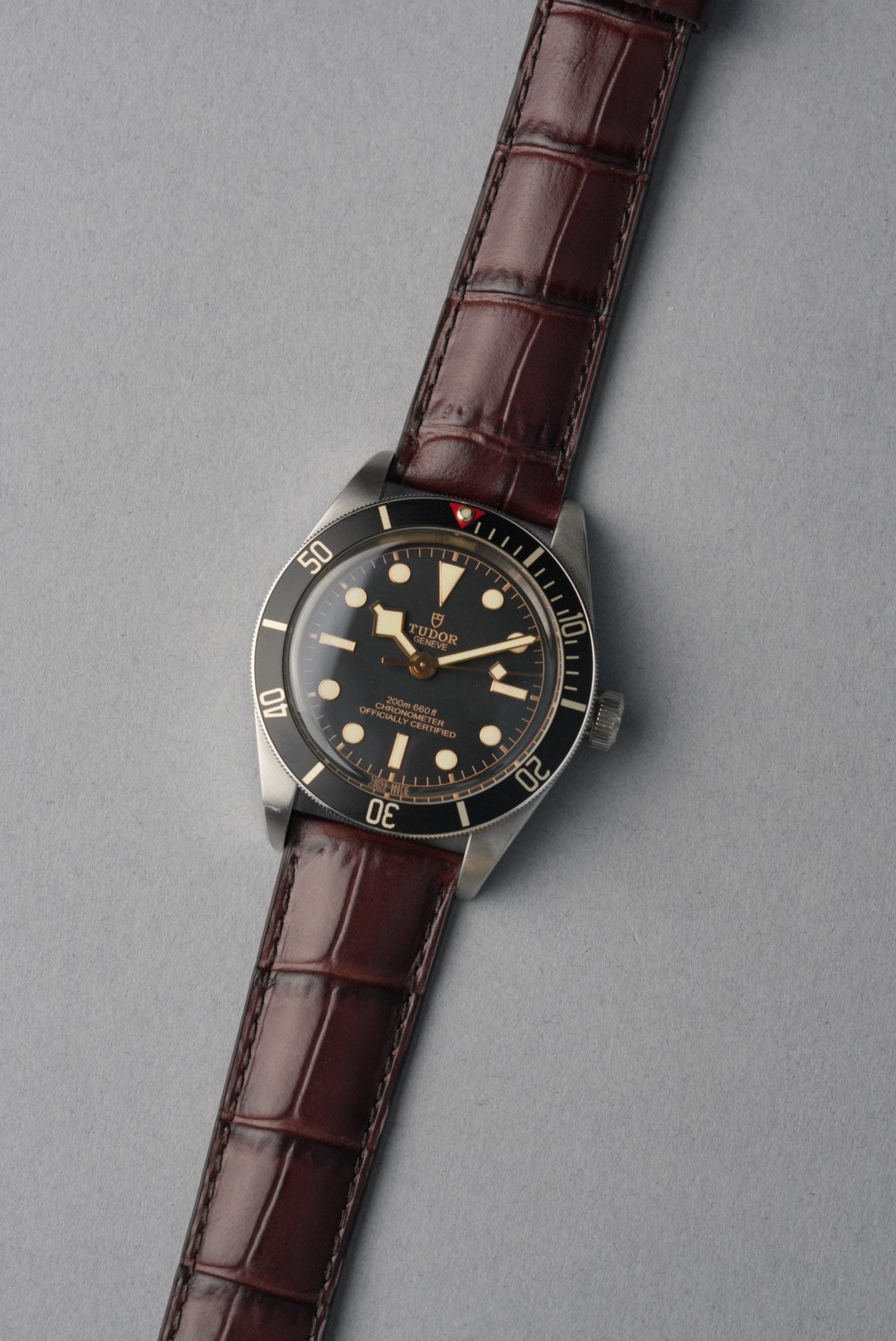 Embossed Alligator Leather Watch Strap - 18mm to 24mm