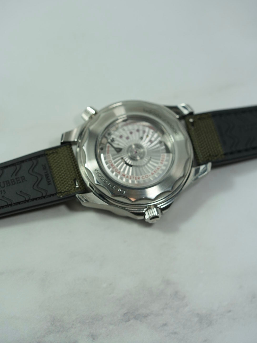 Back view of the strap, featuring the quick-release mechanism 