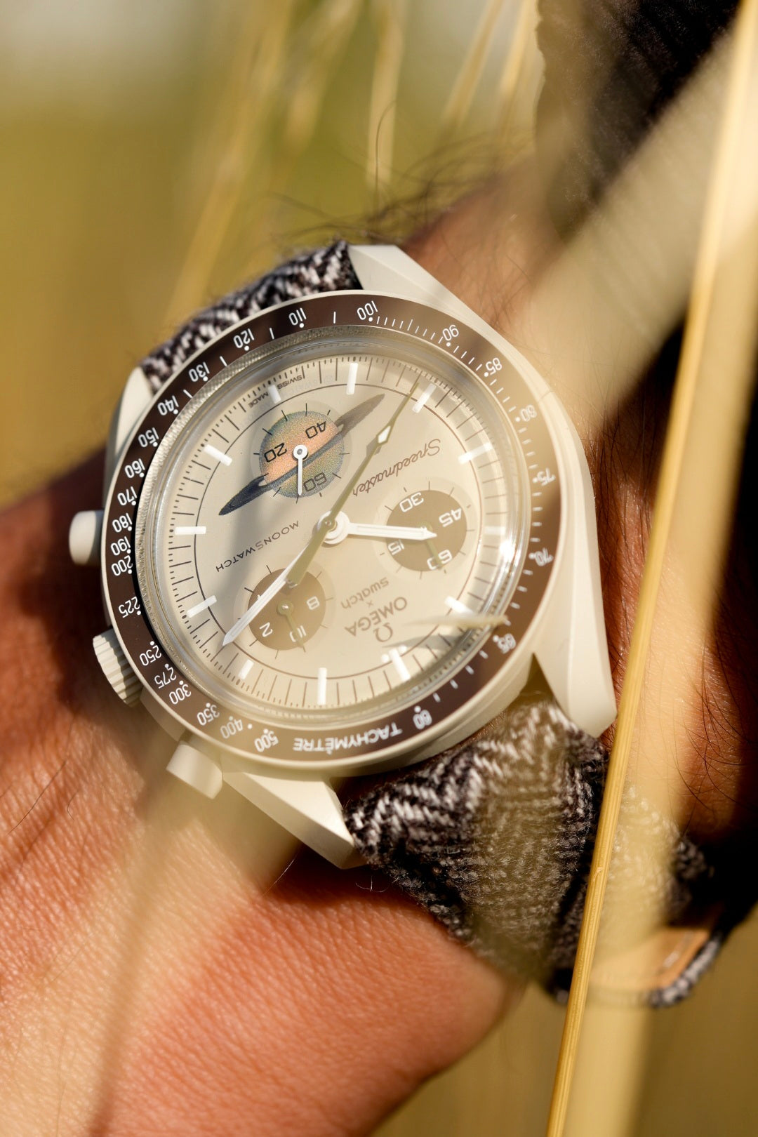 Close-up of a wrist wearing a detailed watch with a blurred natural background